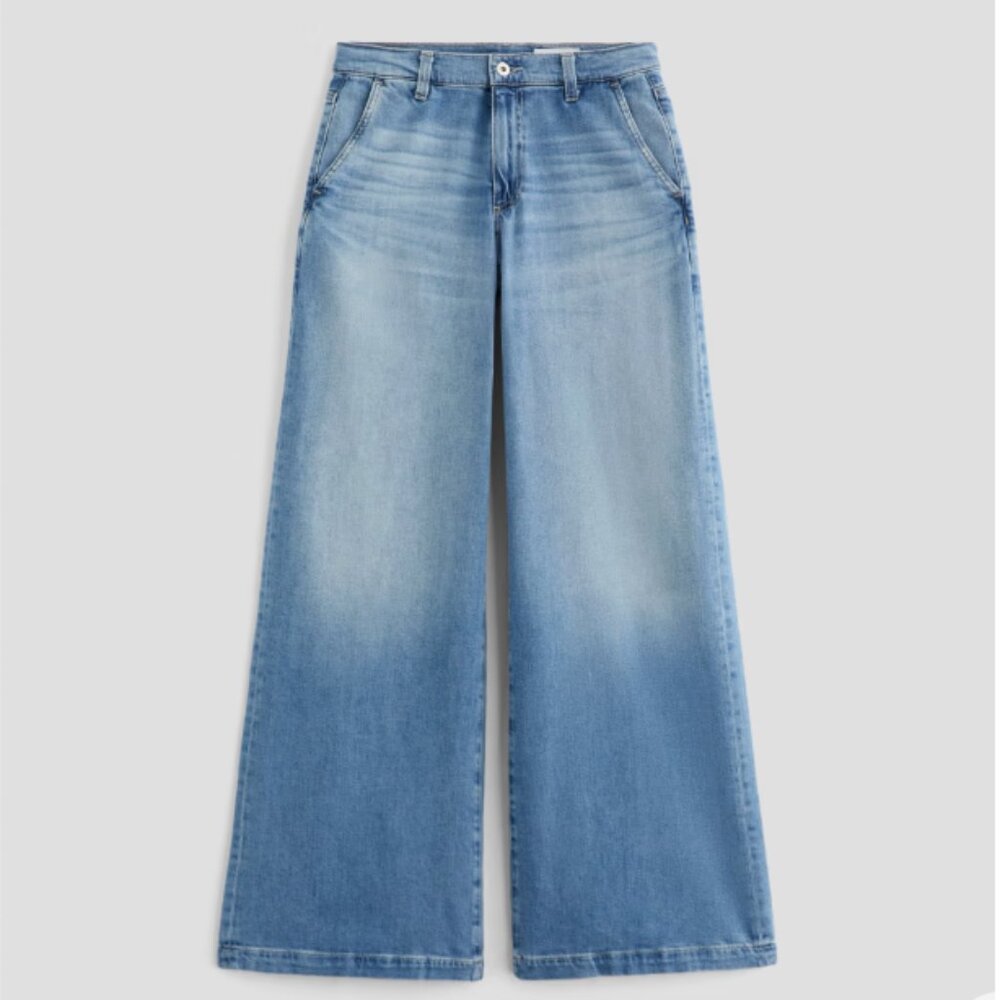 AG Stella Low Slung Palazzo Pants
